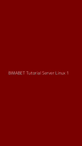 Tampilan Antarmuka Aplikasi Bimabet Tutorial Server Linux - 1
