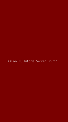 Tampilan Antarmuka Aplikasi Bolawins Tutorial Server Linux - 1