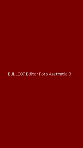 Tampilan Antarmuka Aplikasi Bull007 Editor Foto Aesthetic - 3