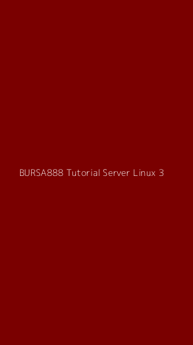 Tampilan Antarmuka Aplikasi Bursa888 Tutorial Server Linux - 3