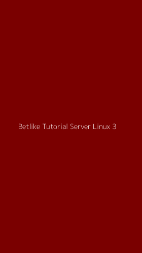 Tampilan Antarmuka Aplikasi Betlike Tutorial Server Linux - 3