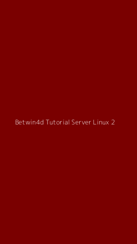 Tampilan Antarmuka Aplikasi Betwin4d Tutorial Server Linux - 2