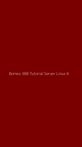 Tampilan Antarmuka Aplikasi Borneo 388 Tutorial Server Linux - 4
