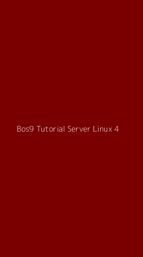 Tampilan Antarmuka Aplikasi Bos9 Tutorial Server Linux - 4