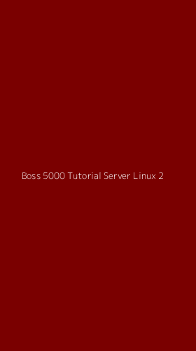 Tampilan Antarmuka Aplikasi Boss 5000 Tutorial Server Linux - 2