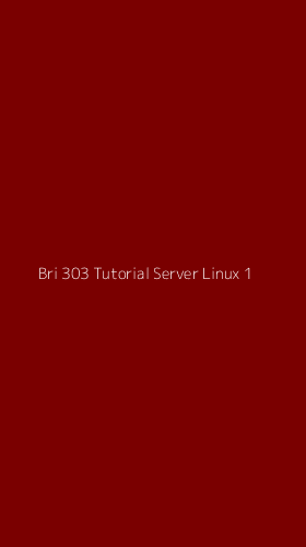 Tampilan Antarmuka Aplikasi Bri 303 Tutorial Server Linux - 1