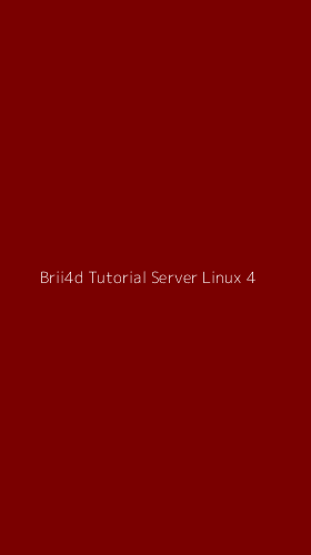 Tampilan Antarmuka Aplikasi Brii4d Tutorial Server Linux - 4
