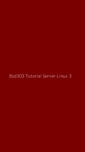 Tampilan Antarmuka Aplikasi Bsd303 Tutorial Server Linux - 3