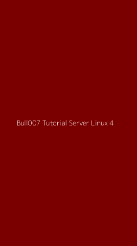 Tampilan Antarmuka Aplikasi Bull007 Tutorial Server Linux - 4