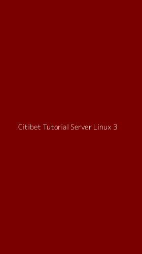 Tampilan Antarmuka Aplikasi Citibet Tutorial Server Linux - 3