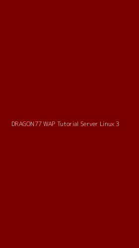 Tampilan Antarmuka Aplikasi Dragon77 Wap Tutorial Server Linux - 3