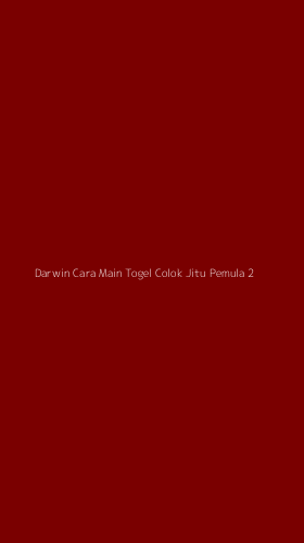 Tampilan Antarmuka Aplikasi Darwin Cara Main Togel Colok Jitu Pemula - 2