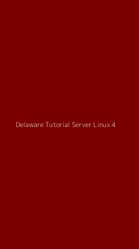 Tampilan Antarmuka Aplikasi Delaware Tutorial Server Linux - 4