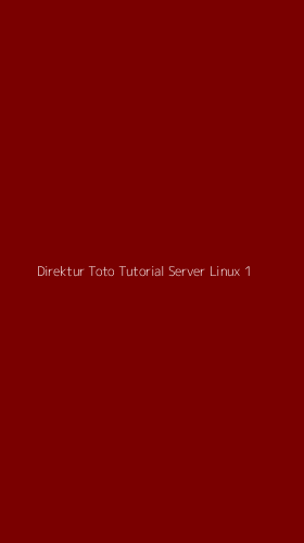 Tampilan Antarmuka Aplikasi Direktur Toto Tutorial Server Linux - 1
