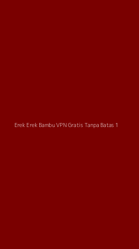 Tampilan Antarmuka Aplikasi Erek Erek Bambu Vpn Gratis Tanpa Batas - 1