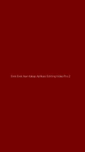 Tampilan Antarmuka Aplikasi Erek Erek Ikan Kakap Aplikasi Editing Video Pro - 2
