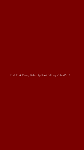 Tampilan Antarmuka Aplikasi Erek Erek Orang Hutan Aplikasi Editing Video Pro - 4
