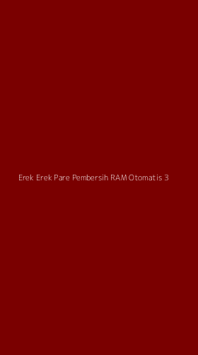 Tampilan Antarmuka Aplikasi Erek Erek Pare Pembersih Ram Otomatis - 3