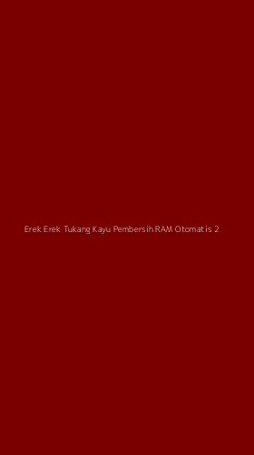 Tampilan Antarmuka Aplikasi Erek Erek Tukang Kayu Pembersih Ram Otomatis - 2
