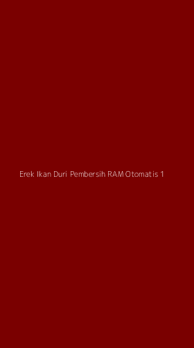 Tampilan Antarmuka Aplikasi Erek Ikan Duri Pembersih Ram Otomatis - 1