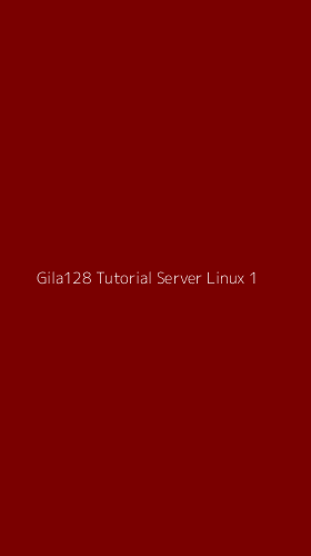 Tampilan Antarmuka Aplikasi Gila128 Tutorial Server Linux - 1