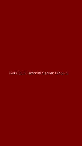 Tampilan Antarmuka Aplikasi Gokil303 Tutorial Server Linux - 2