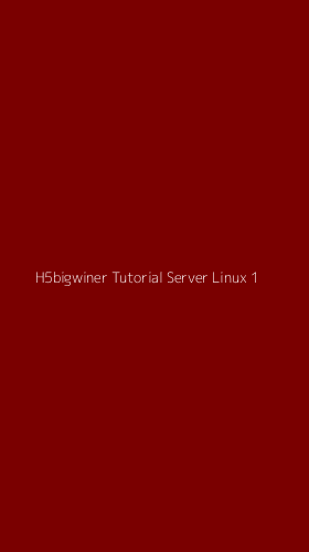 Tampilan Antarmuka Aplikasi H5bigwiner Tutorial Server Linux - 1