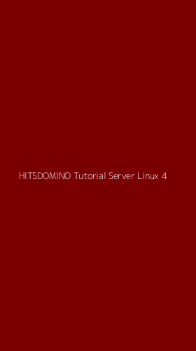 Tampilan Antarmuka Aplikasi Hitsdomino Tutorial Server Linux - 4