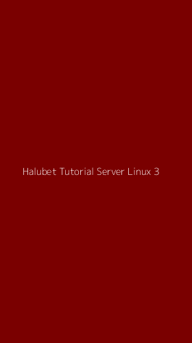 Tampilan Antarmuka Aplikasi Halubet Tutorial Server Linux - 3
