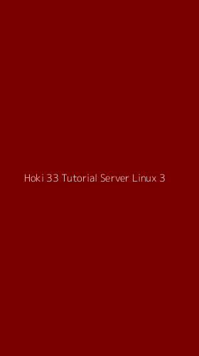 Tampilan Antarmuka Aplikasi Hoki 33 Tutorial Server Linux - 3