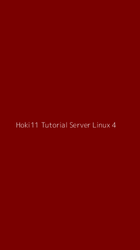 Tampilan Antarmuka Aplikasi Hoki11 Tutorial Server Linux - 4