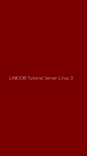Tampilan Antarmuka Aplikasi Link338 Tutorial Server Linux - 3