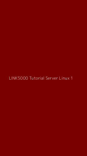 Tampilan Antarmuka Aplikasi Link5000 Tutorial Server Linux - 1