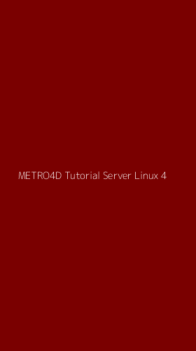 Tampilan Antarmuka Aplikasi Metro4d Tutorial Server Linux - 4