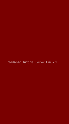 Tampilan Antarmuka Aplikasi Medali4d Tutorial Server Linux - 1