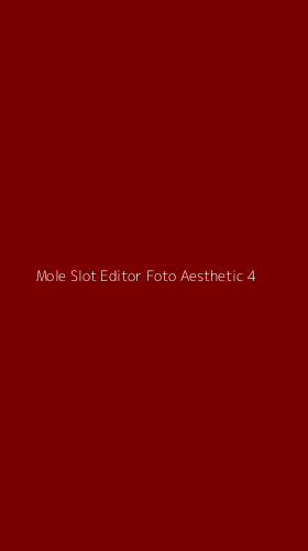 Tampilan Antarmuka Aplikasi Mole Slot Editor Foto Aesthetic - 4