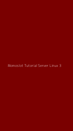 Tampilan Antarmuka Aplikasi Momoslot Tutorial Server Linux - 3