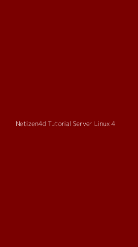 Tampilan Antarmuka Aplikasi Netizen4d Tutorial Server Linux - 4