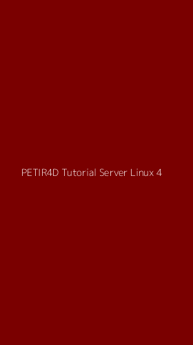 Tampilan Antarmuka Aplikasi Petir4d Tutorial Server Linux - 4