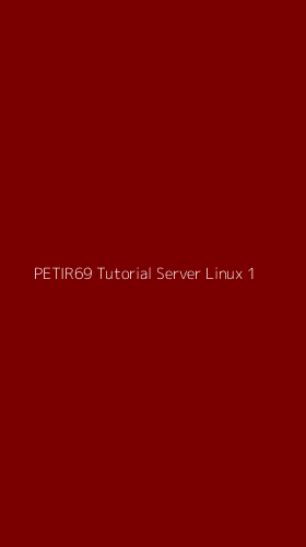 Tampilan Antarmuka Aplikasi Petir69 Tutorial Server Linux - 1