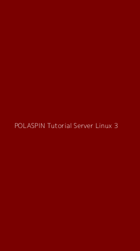 Tampilan Antarmuka Aplikasi Polaspin Tutorial Server Linux - 3