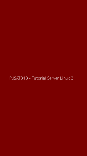 Tampilan Antarmuka Aplikasi PUSAT313 - Tutorial Server Linux - 3