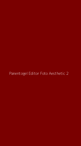Tampilan Antarmuka Aplikasi Panentogel Editor Foto Aesthetic - 2
