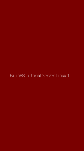 Tampilan Antarmuka Aplikasi Patin88 Tutorial Server Linux - 1