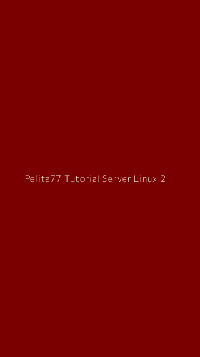 Tampilan Antarmuka Aplikasi Pelita77 Tutorial Server Linux - 2
