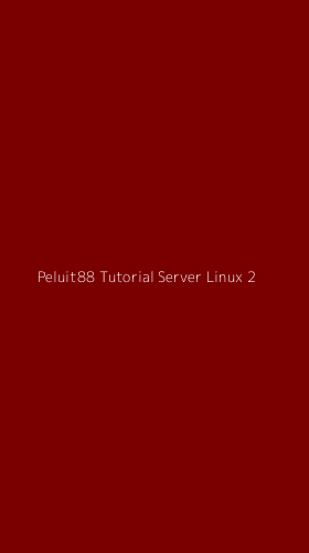 Tampilan Antarmuka Aplikasi Peluit88 Tutorial Server Linux - 2