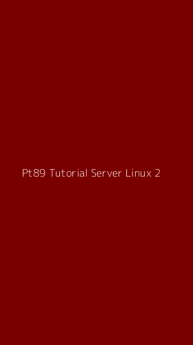 Tampilan Antarmuka Aplikasi Pt89 Tutorial Server Linux - 2