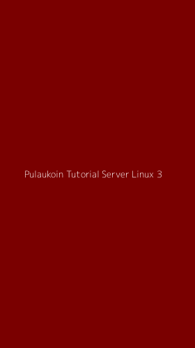 Tampilan Antarmuka Aplikasi Pulaukoin Tutorial Server Linux - 3