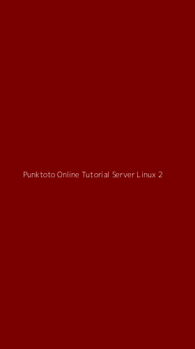 Tampilan Antarmuka Aplikasi Punktoto Online Tutorial Server Linux - 2