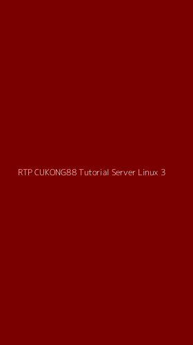 Tampilan Antarmuka Aplikasi Rtp Cukong88 Tutorial Server Linux - 3